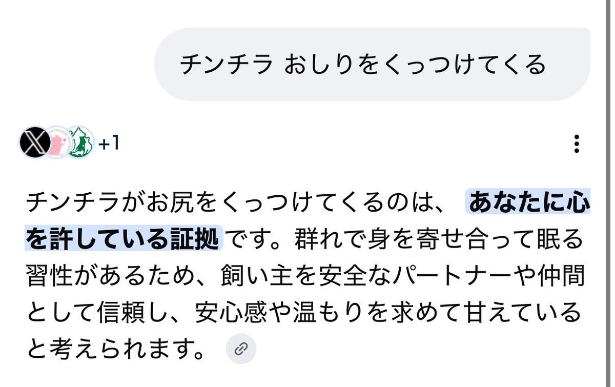 おももち🐭 tweet media