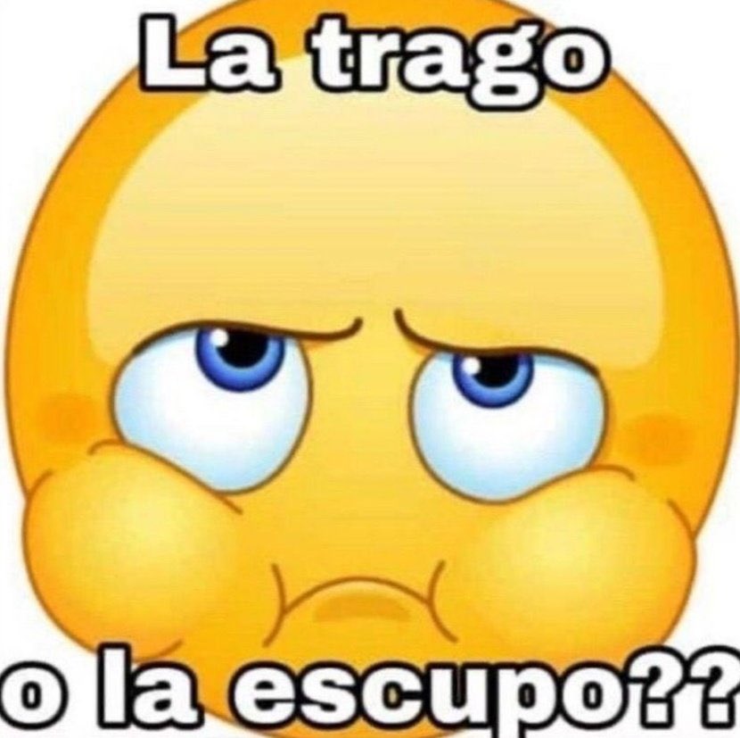 solecito tweet media
