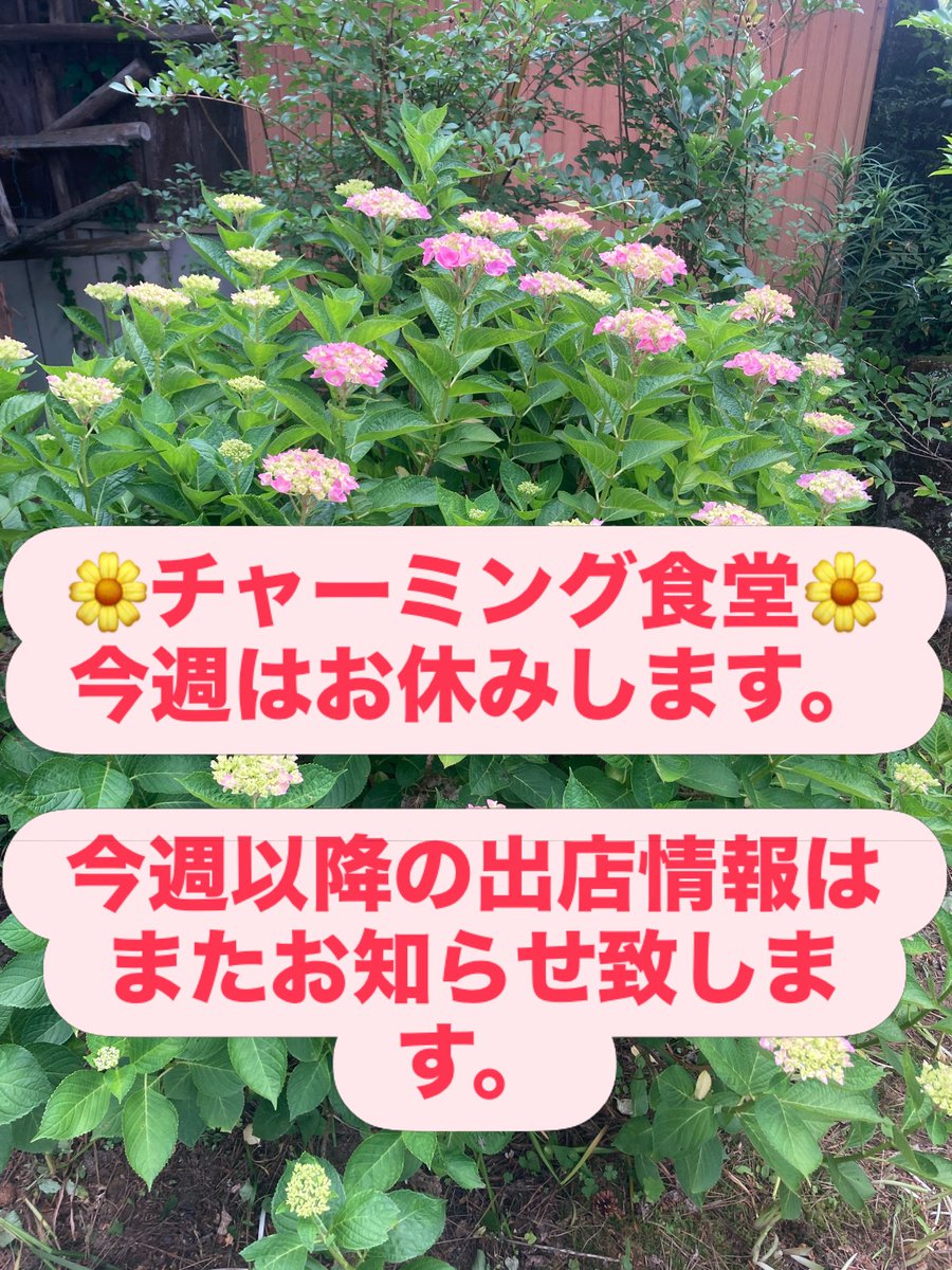 chaming20151001's tweet photo. お休みが続いてご迷惑をおかけしています🐇
申し訳ないですっ🐇 https://t.co/P3ufYhIDIm