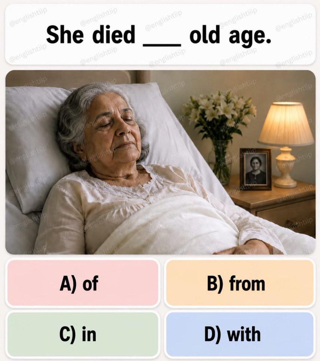 English Grammar Every Day 🧠 tweet media