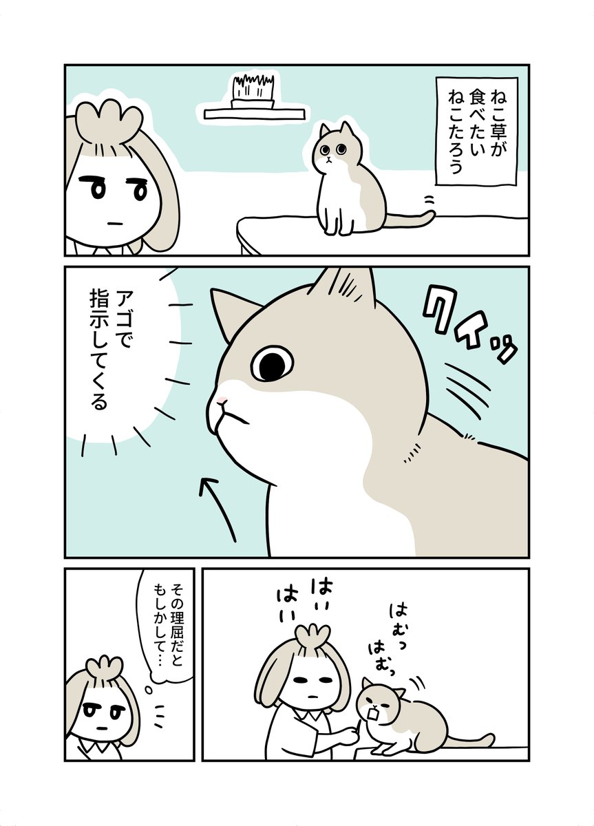 み・ちこ@『宇宙人、猫と住む』2/4書籍発売 tweet media