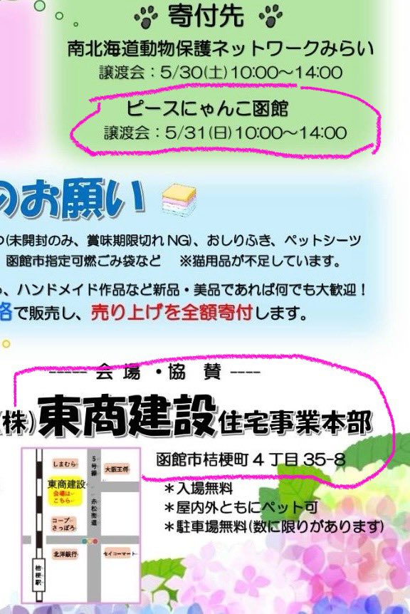 ピースにゃんこ函館@うめこBB tweet media