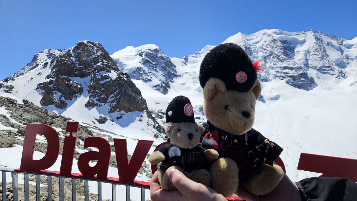Swiss Piper Bears tweet media
