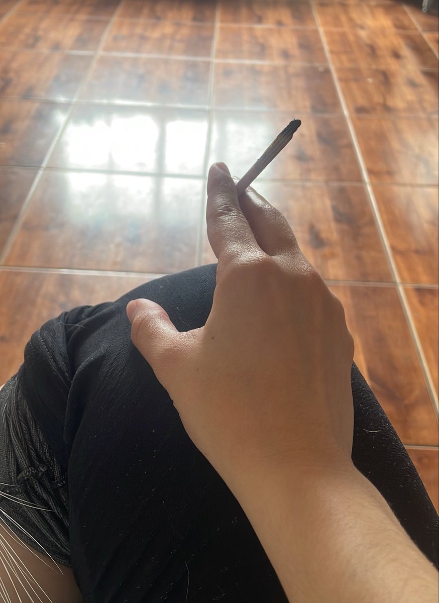‘ ❦ Bonnie Nessy tweet media