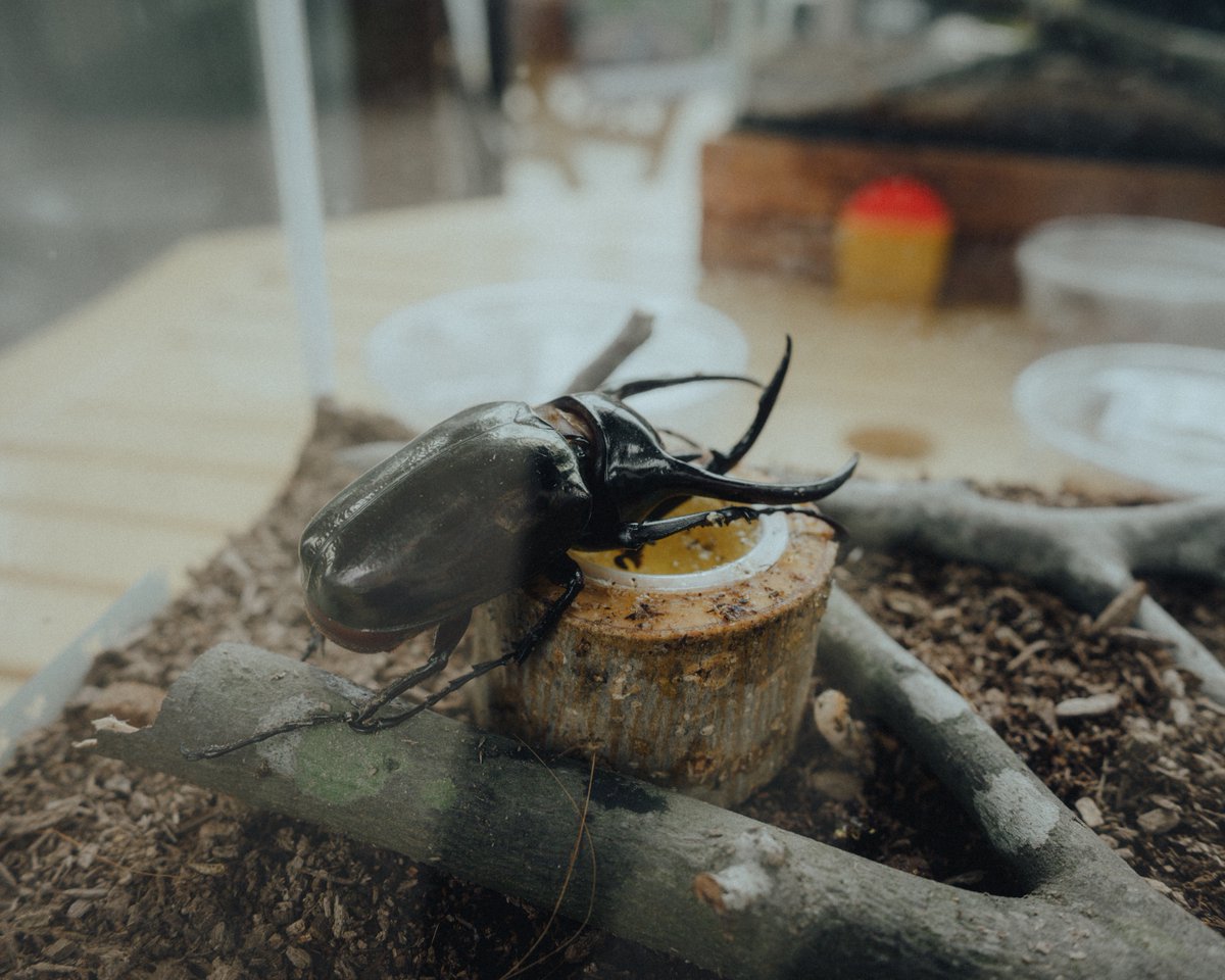 Zf｜Z 28mm F2.8