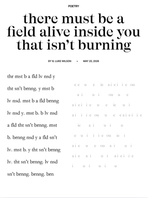 blukewilson's tweet photo. Thrilled my new poem is live at @The_Rumpus. Wrote it at Hollins as an Oulipian structural puzzle.

The title contains instructions on how to read the poem. Scroll to see the text. Link in bio to read on their official site! 🖤

#poetry, #writingcommunity, #writing https://t.co/YQk5qkGlXH