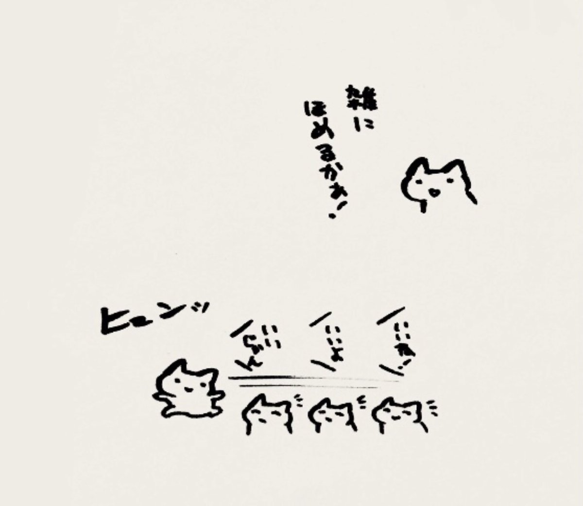 サイチ tweet media