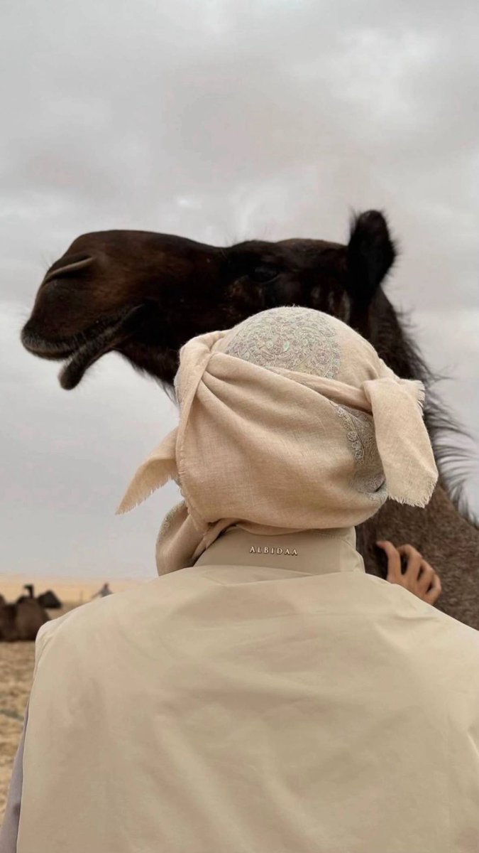 2u_i8's tweet photo. يا بعد شقر الذوايب  وتلعات الرقاب
انتي الحب الحقيقي ما حبيت ابّعده

غاليه واغلى سناد وطت فوق التراب
غاية  الشاعر  وروحه  وعزه  واسنده https://t.co/Wxa6Ov50c9