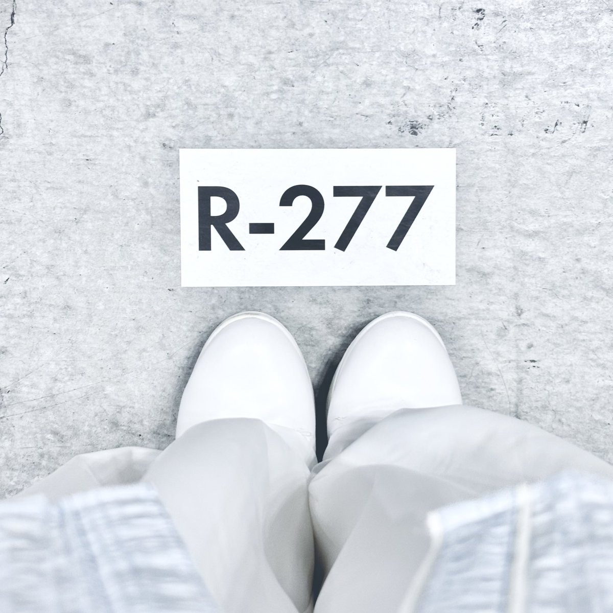 Coll. │ 青色標本家 ✧︎ デザフェス両日【R-277】 tweet media