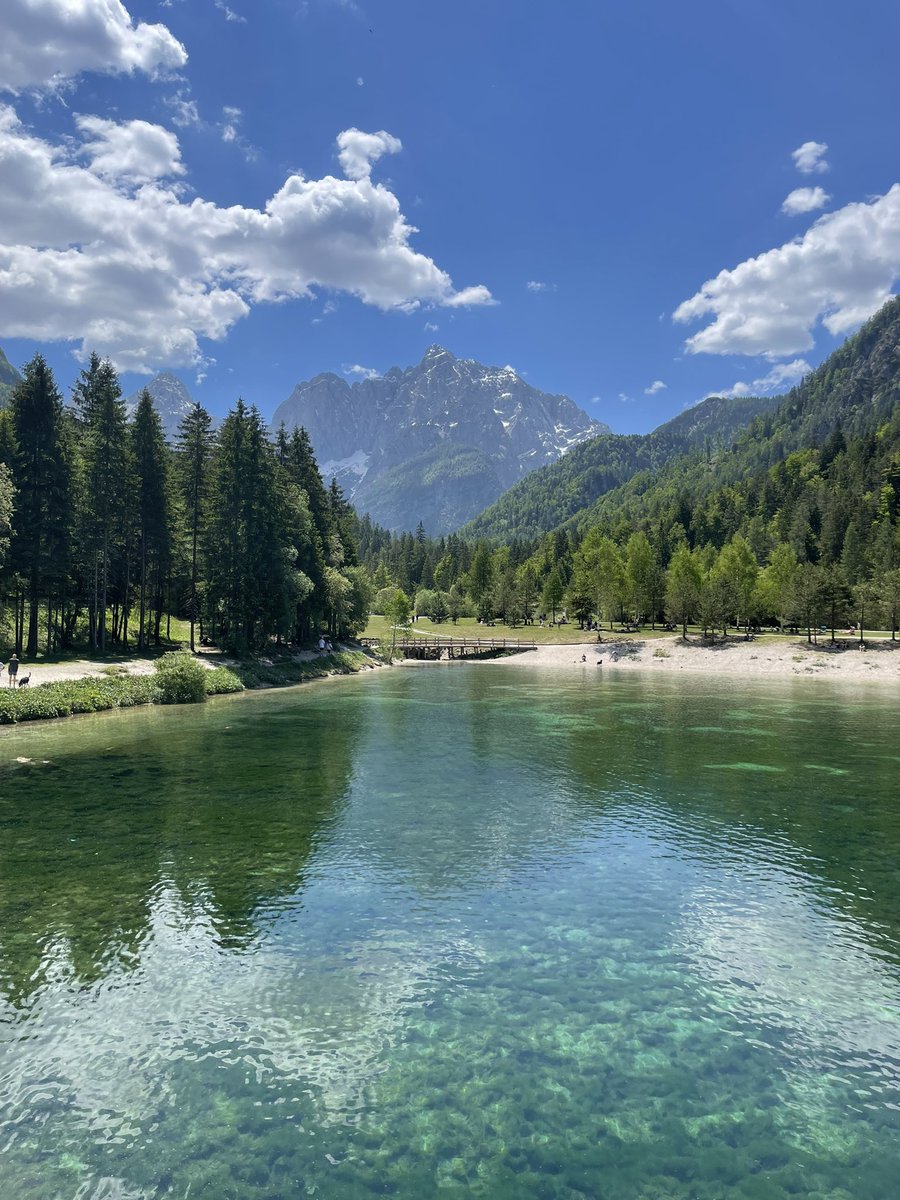 msdiall02's tweet photo. In close contact with nature in its purest &amp; cleanest form 🥰🇸🇮🥰 https://t.co/Uo2D9NR3V6