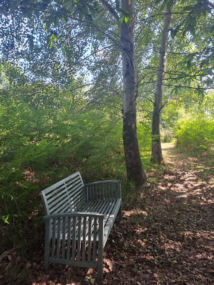 Martin in FR 🌿🌳☮️ tweet media