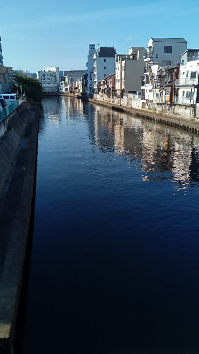 eishingmr's tweet photo. 和歌山市内中心部を流れる市堀川はかつて江戸時代に和歌山城の外堀として開削され、
紀の川に直結するので船運の物資輸送路として賑わっていた。
近代は昭和50年代まで両岸に材木製材屋があり川は貯木場の役割を果たしていた。
子どもの頃、川に浮かべた材木に乗って遊んだら叱られた（笑） https://t.co/dN5QW3H1xq