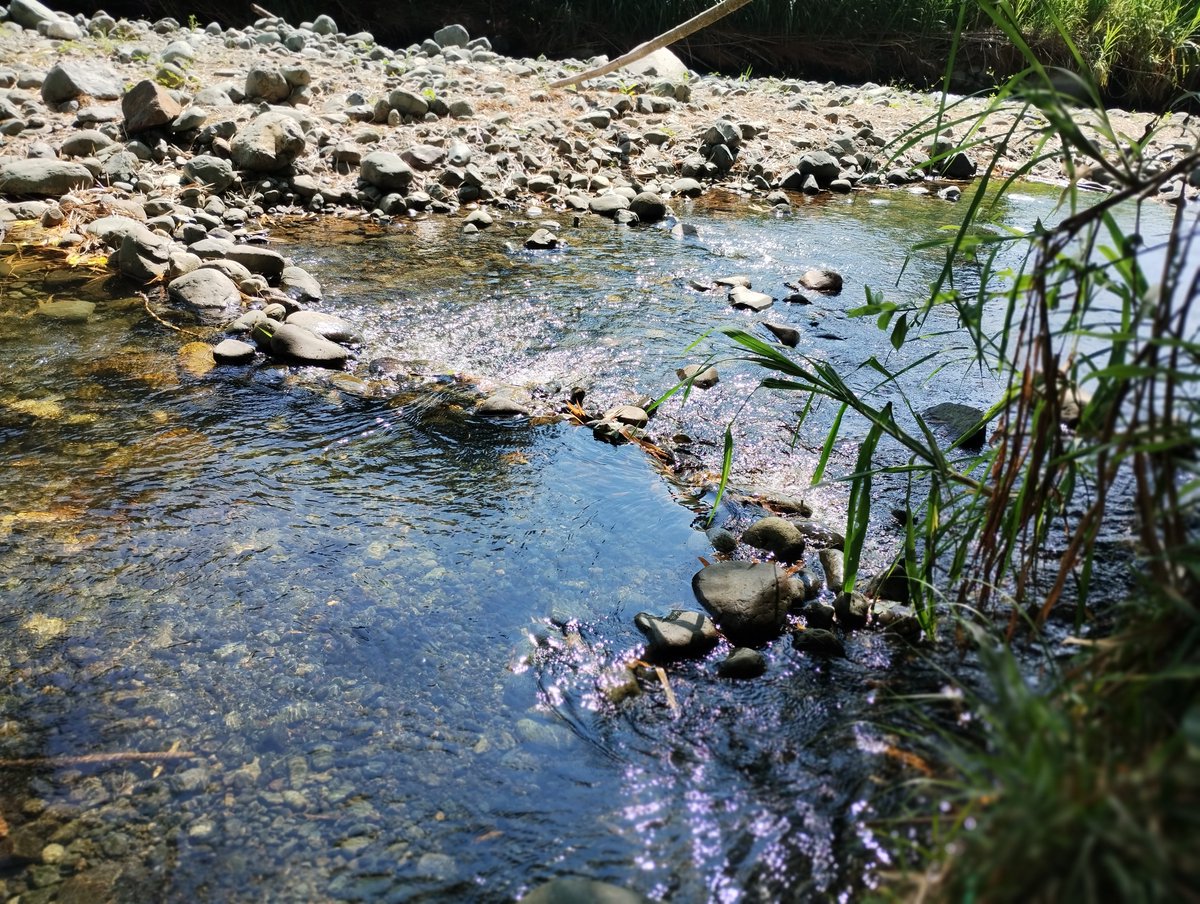 jp5114131's tweet photo. En pance por el valle de las mariposas https://t.co/QxkgzbcZLK