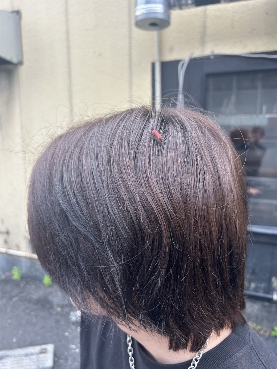 dig3__'s tweet photo. 日本ただいま https://t.co/1GbrrG3VmW