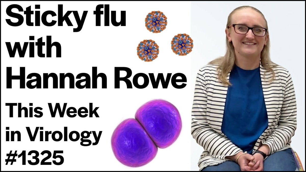 profvrr's tweet photo. TWiV 1325 〰️ Vincent travels to Oregon State University in Corvallis to meet up with Hannah Rowe to talk about her career and her work demonstrating how the interaction of influenza A virus and Streptococcus pneumonia influences transmission. 📺 https://t.co/Af3sCfrTH9 https://t.co/IhIRtx0cAa