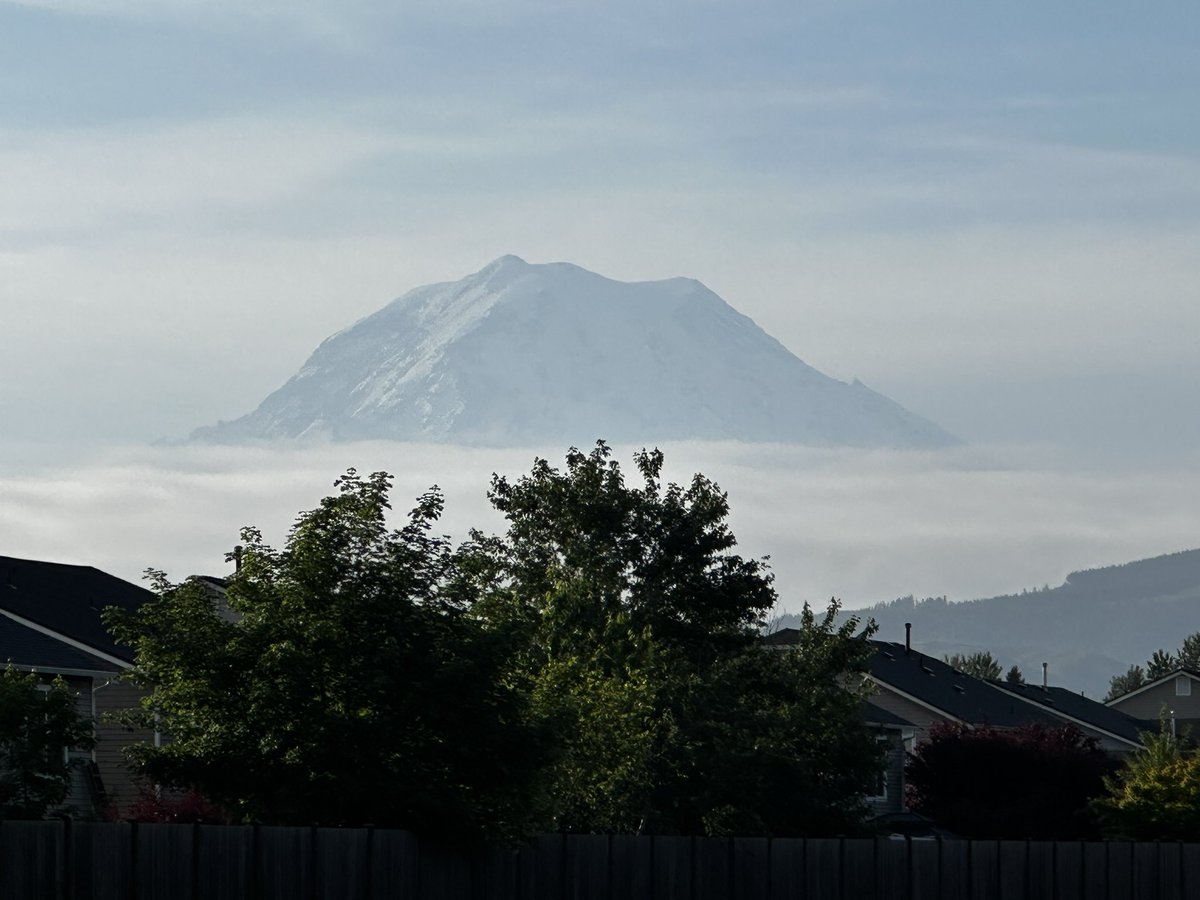 PNW Conservative tweet media