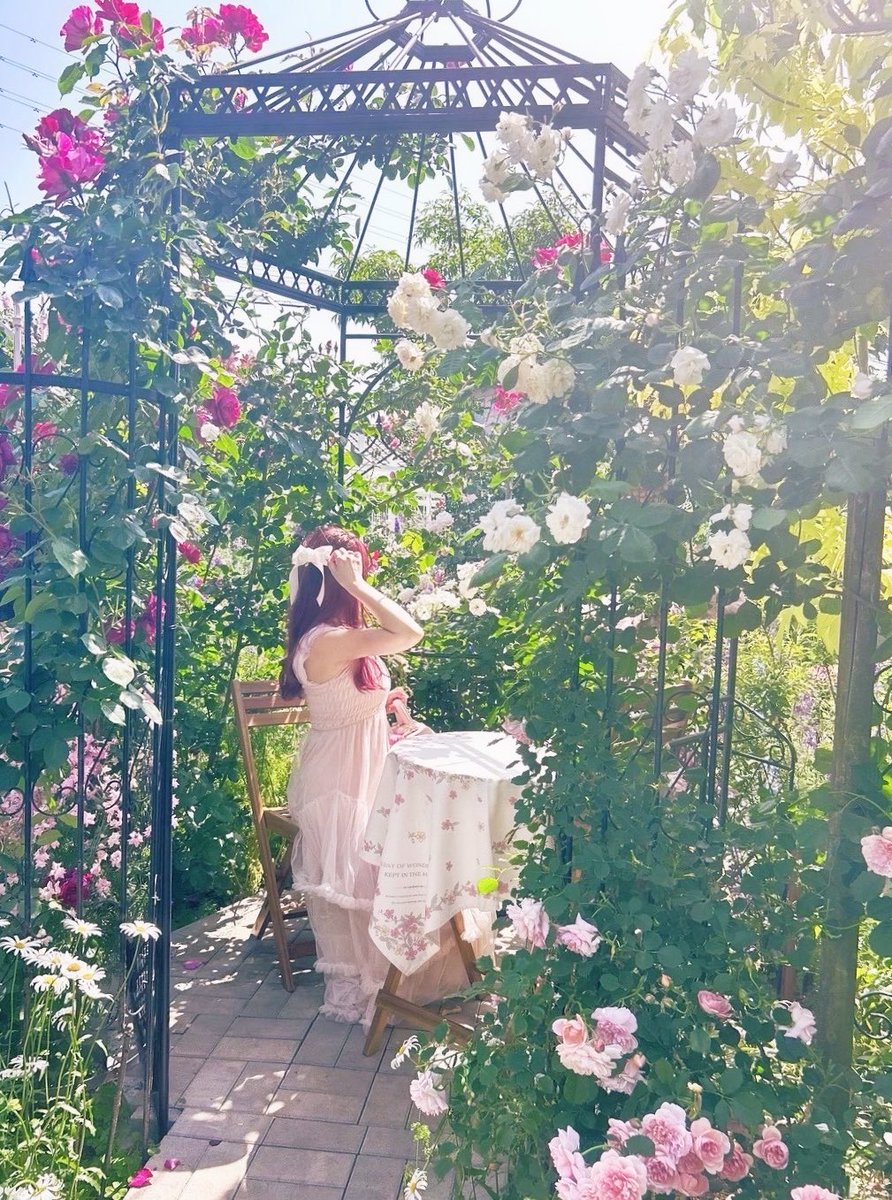 もも🎀 tweet media