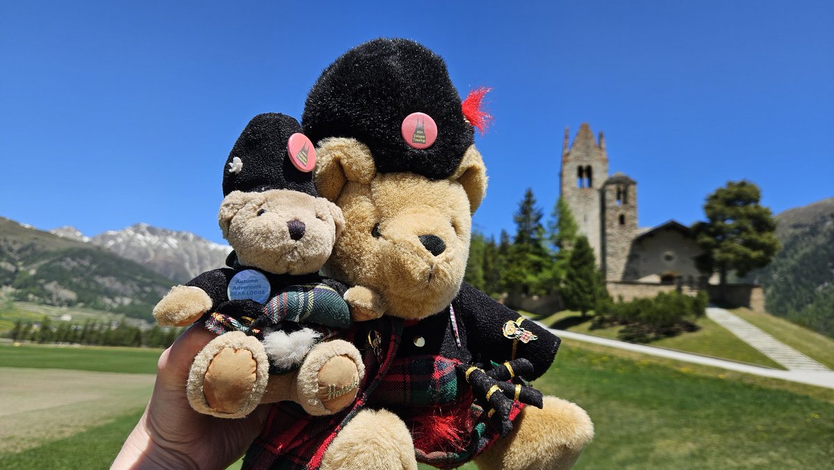 Swiss Piper Bears tweet media