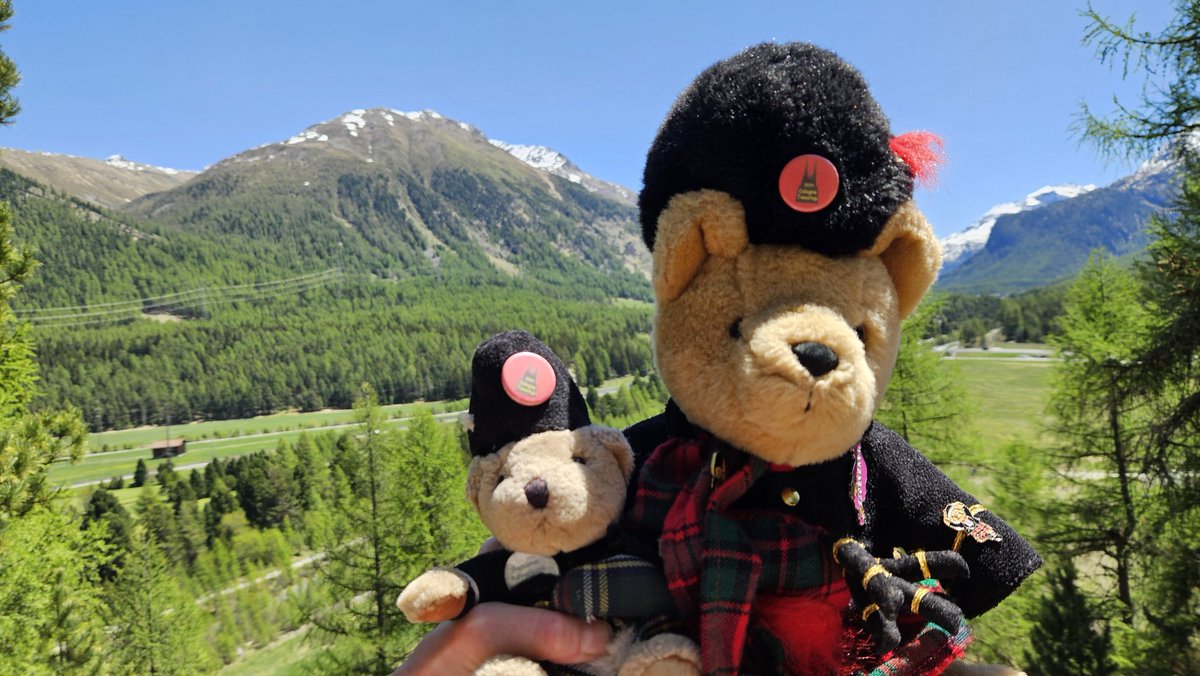Swiss Piper Bears tweet media