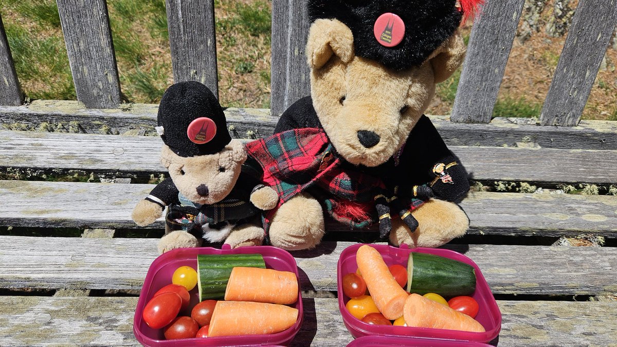 Swiss Piper Bears tweet media