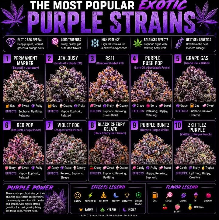 Artek Swaróg🌿💨🇵🇱 tweet media