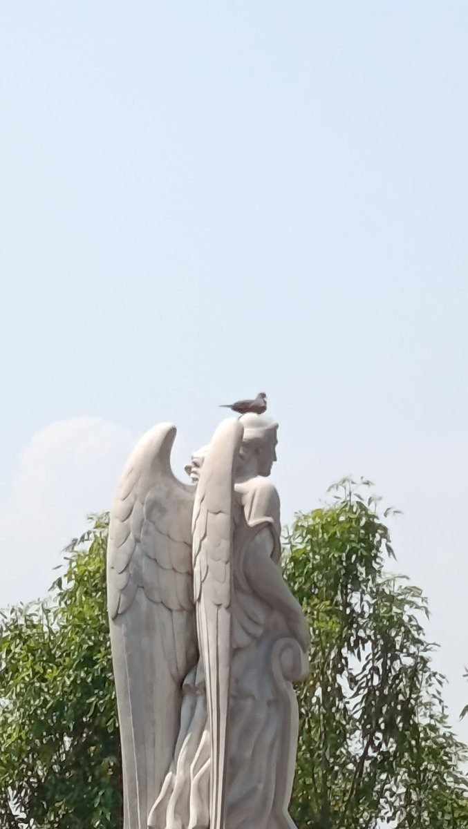 Mike Angel ن 🇲🇽 tweet media