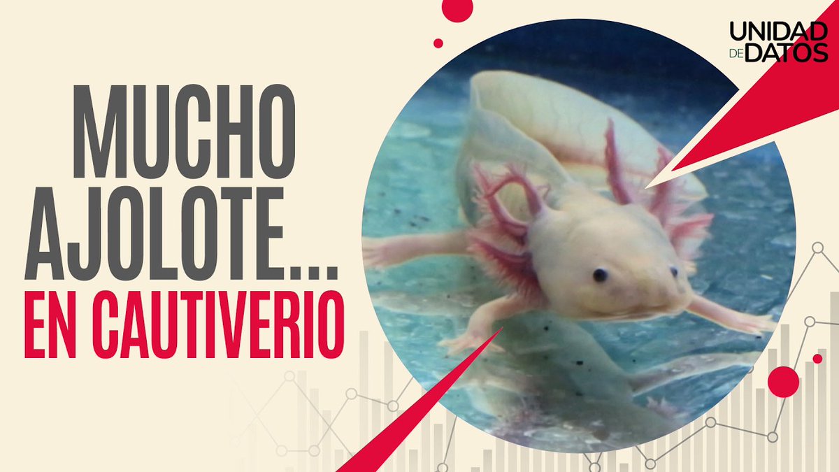 SinEmbargo Al Aire tweet media