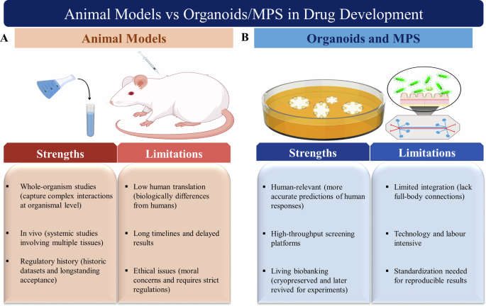 CommsBio's tweet photo. Modernizing drug development and ensuring global equity in the organoid revolution: Communications Biology, Published online: 17 April 2026; doi:10.1038/s42003-026-10076-4Global regulatory shifts are accelerating the move from animal models to… https://t.co/dsmAlvyeZl https://t.co/RvqY1kRkMV