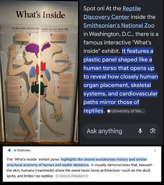 RachaelNeel70's tweet photo. Smithsonian National Zoo, Reptile Discovery Center, What's Inside exhibit
https://t.co/V2uPCDwmgs
HOW IS THIS RELATED TO THE BIBLE?
biblical truth @JonathanKleck and @KleckFiles https://t.co/BmCC1KuAjm