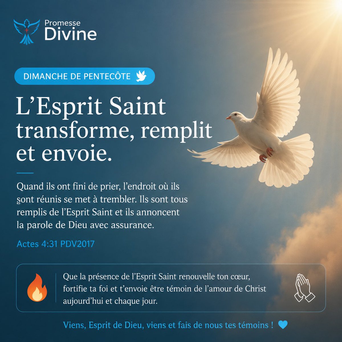 PromesseDivine_'s tweet photo. Bon dimanche de Pentecôte 🕊️ https://t.co/bvp9RKVGXt