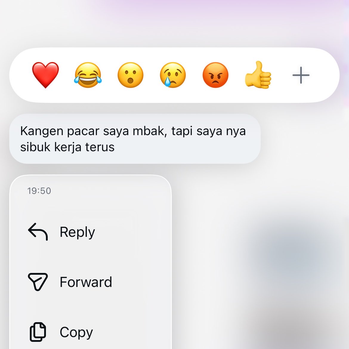 —secoll tweet media