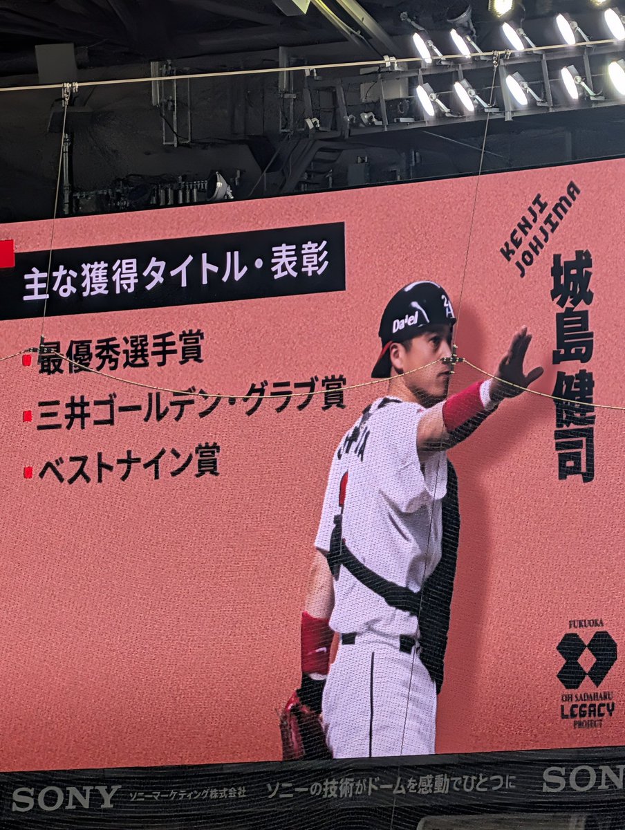 ﾒｸﾞｻﾝ鷹党 tweet media