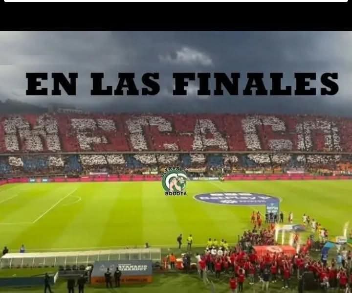 Milosevito tweet media