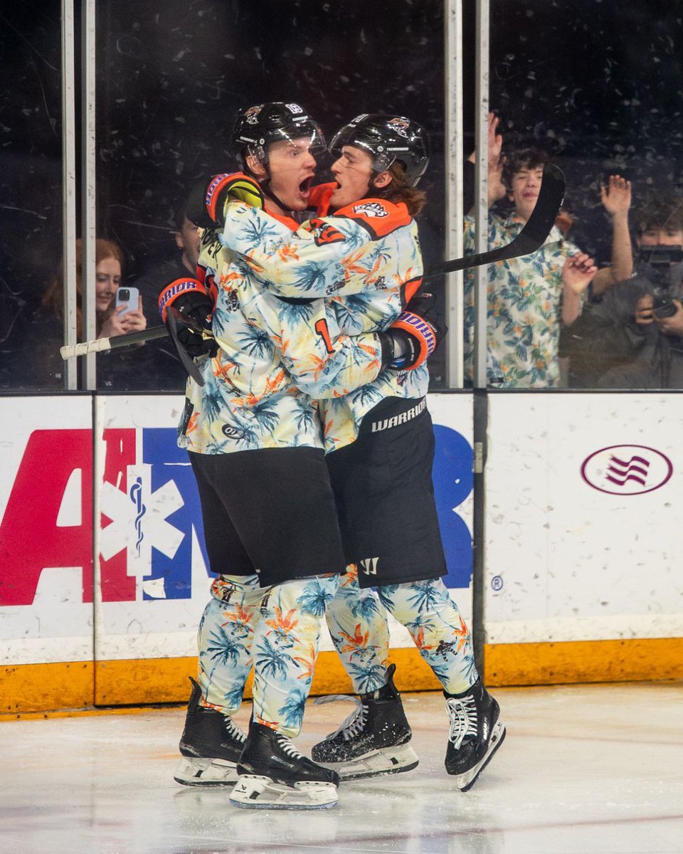Knoxville Ice Bears tweet media