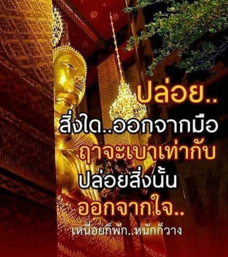 Ms.กะหล่ำปลี🥬 tweet media