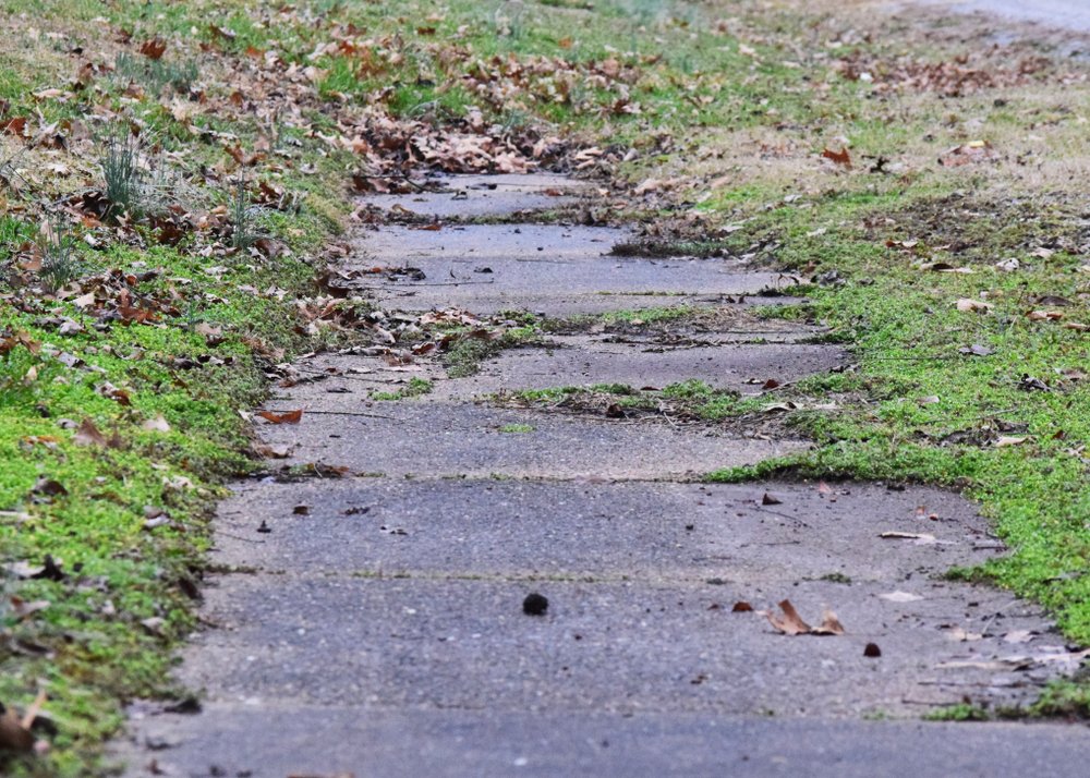 ATI2inspire's tweet photo. When a familiar road hits a dead end, your story isn't over—your true journey is just beginning. Read this week’s post to reframe this full stop into a strategic pivot and get the roadmap to confidently step onto your next unpaved path. (continue at…)

https://t.co/4RLD4s1Me2 https://t.co/jzbKvPGvCT