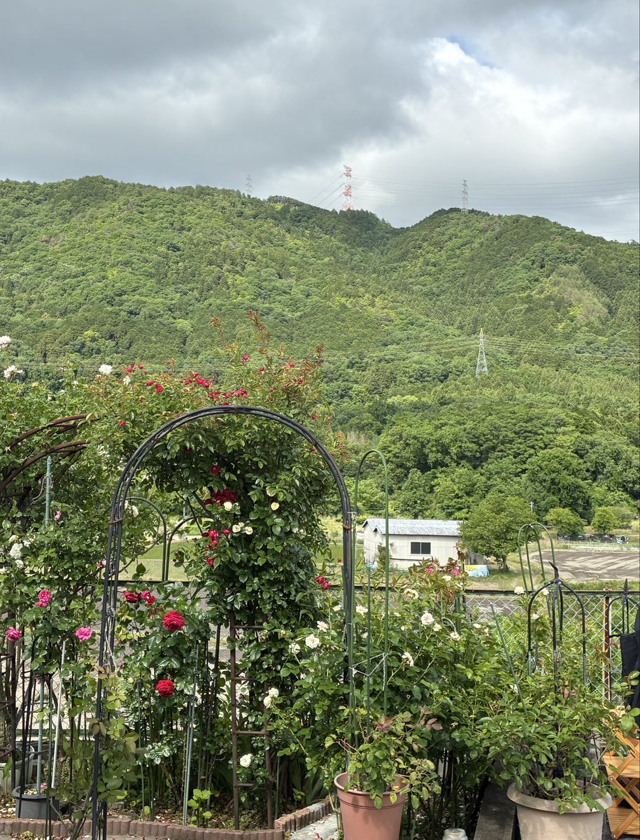 FU2DUYe1ocfGHbv's tweet photo. 青空ライブとマルシェ🏞️☀️🌀
初参加させていただき青空に山並みとお庭の薔薇🌹も綺麗でYasさんと timuくんの歌声が響き渡りました🎤🎸🎶
通りすがりの🚙の助手席からも手拍子されていたり楽しいライブでした💕
焼きそば美味しかったです✨
#Yas
#timu
#木版画馗 https://t.co/t8le5jrsGm