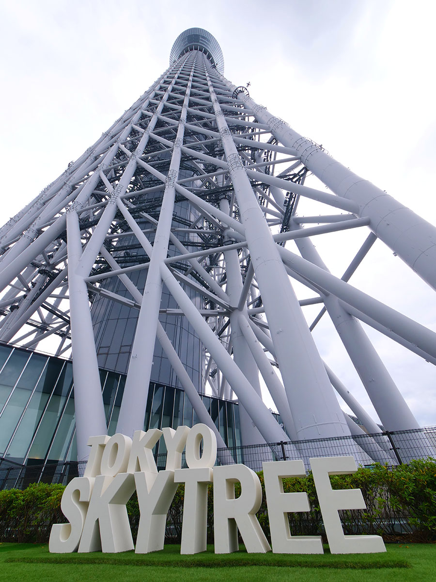 tetsu_skytree's tweet photo. 2026/5/24、東京スカイツリー「LOOK UP CAFE TOKYO SKYTREE」。5/22にOPENした新エリア。北東正面を真下から見れます。鉄骨が美しい。晴れた日にまた来よう。 https://t.co/sE6AInPmXM
