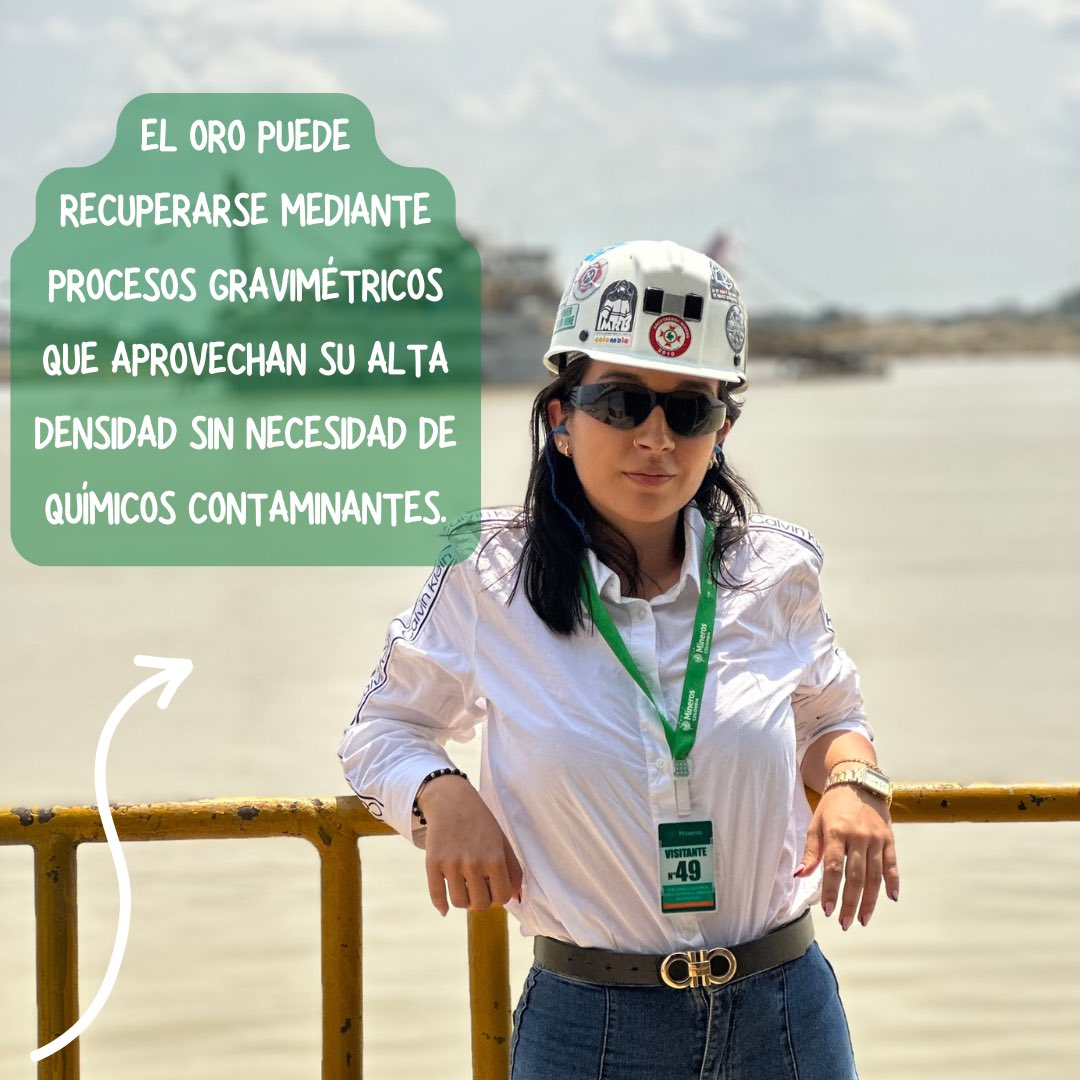 PaulaMinería tweet media
