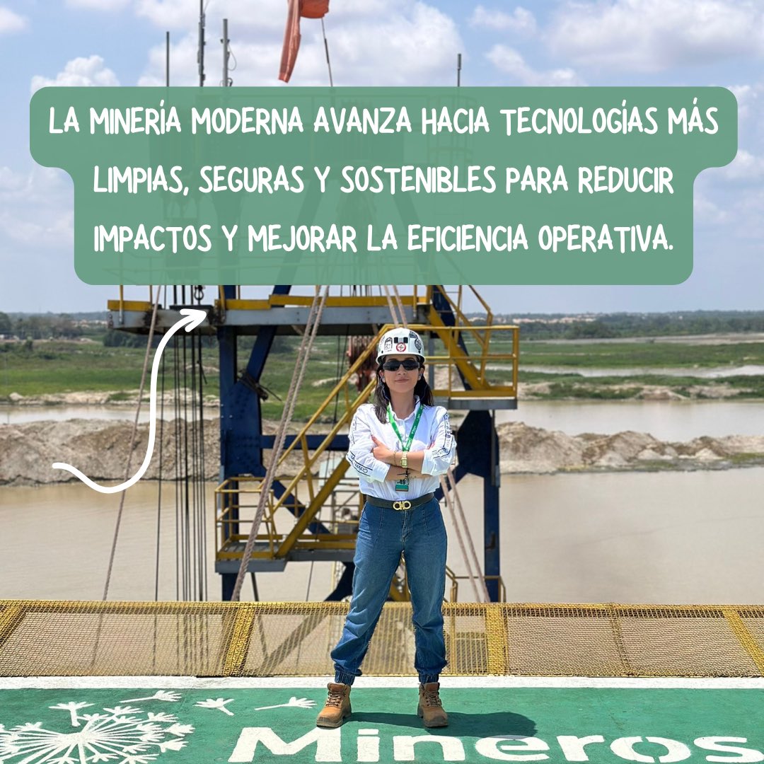 PaulaMinería tweet media