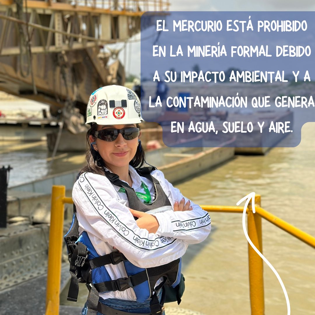 PaulaMinería tweet media