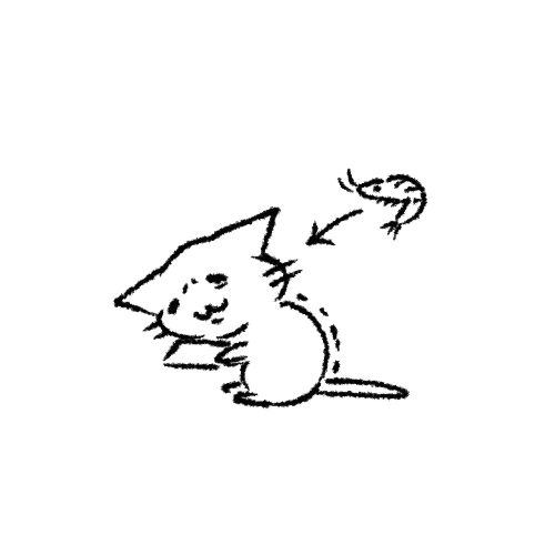 SUIRENの魅力 tweet media
