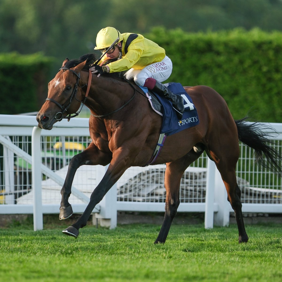 Racing Post tweet media
