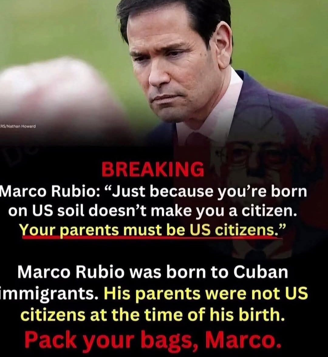 Edward 💙🇺🇲🌊 #VoteBlue tweet media