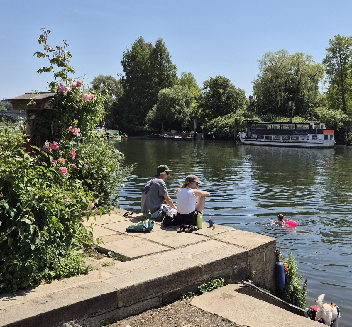 Thames Path National Trail tweet media