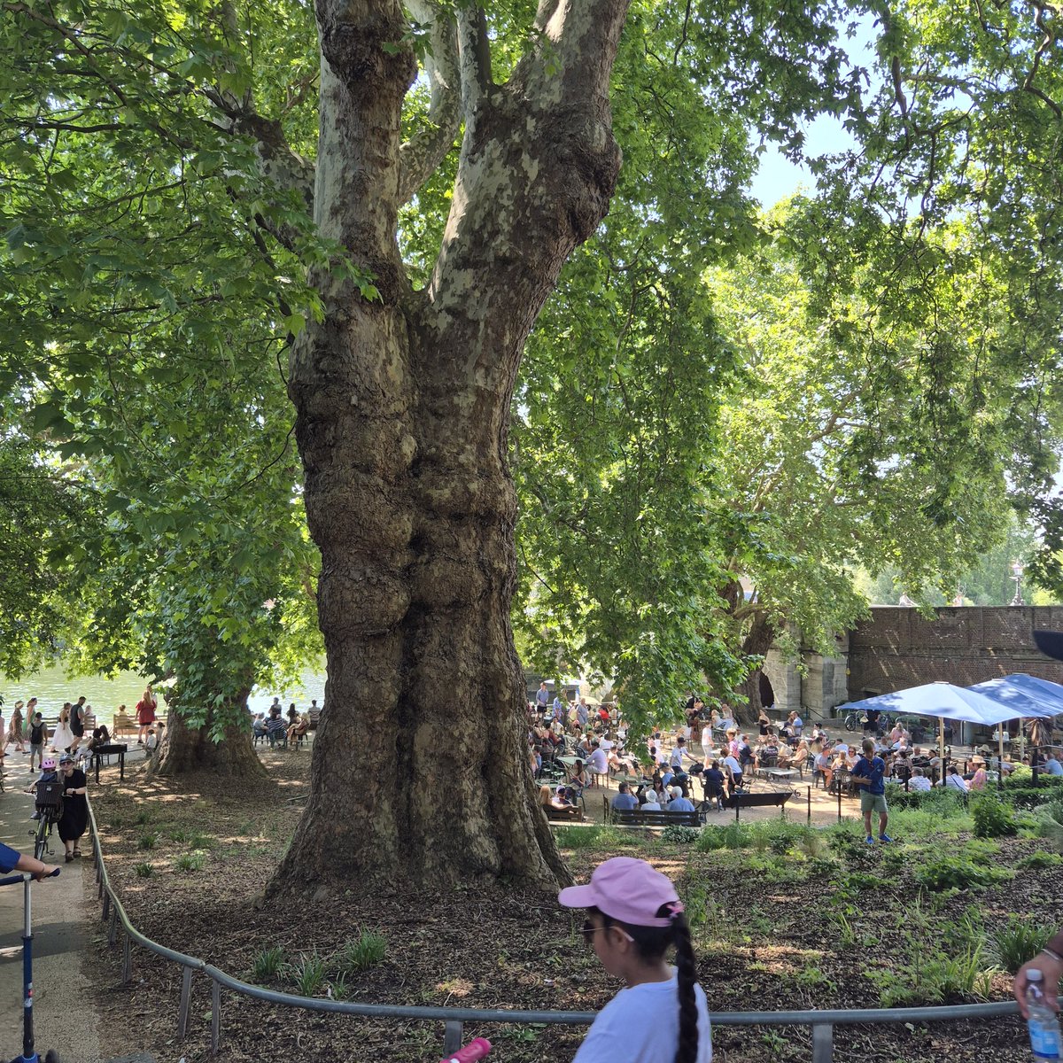 Thames Path National Trail tweet media