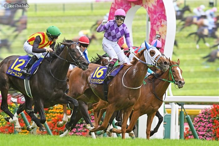 競馬ラボ tweet media