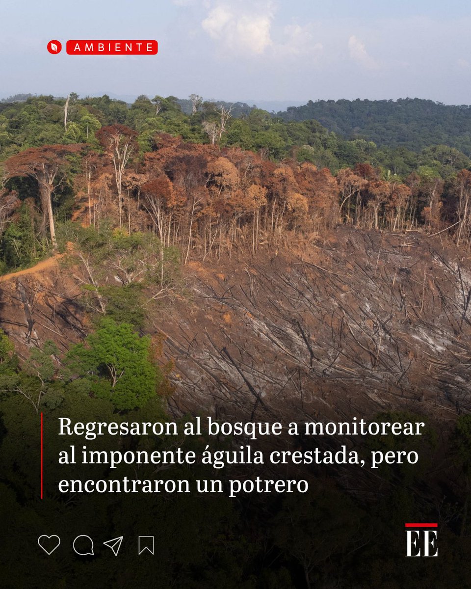 El Espectador tweet media