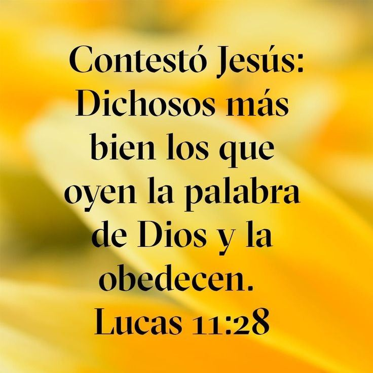 Pastor Henry Ardaya Manriquez tweet media