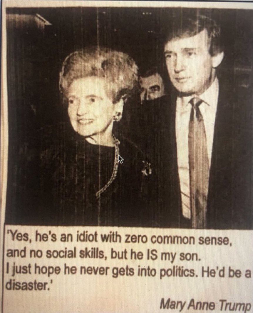 lillybeth53's tweet photo. @GBX_Press Stupid is as stupid does day after day since before his escalator ride to America's demise! https://t.co/0NYACgzz2g